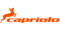 Capriolo